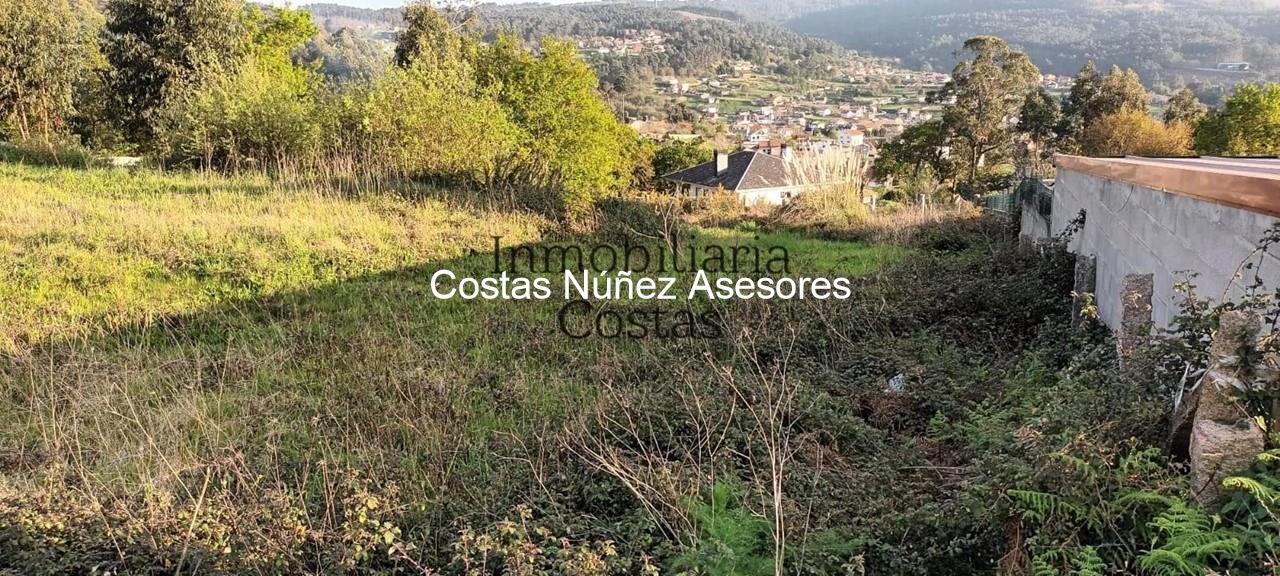 Foto 4 FINCA EN BEMBRIVE, CON LICENCIA PARA EDIFICAR VIVIENDA PAREADA. 
