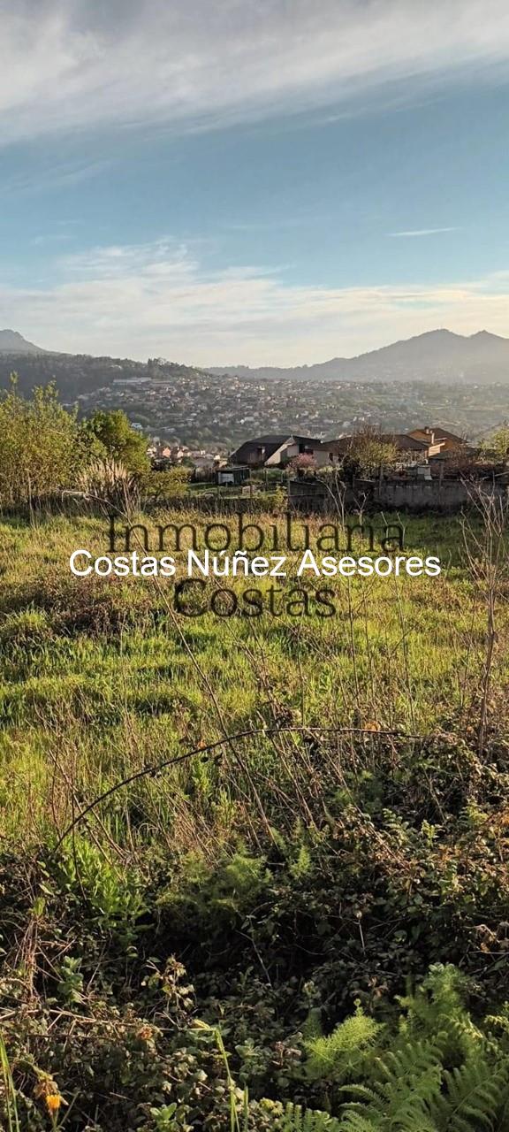 Foto 6 FINCA EN BEMBRIVE, CON LICENCIA PARA EDIFICAR VIVIENDA PAREADA. 