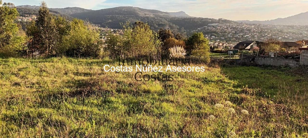 Foto 7 FINCA EN BEMBRIVE, CON LICENCIA PARA EDIFICAR VIVIENDA PAREADA. 