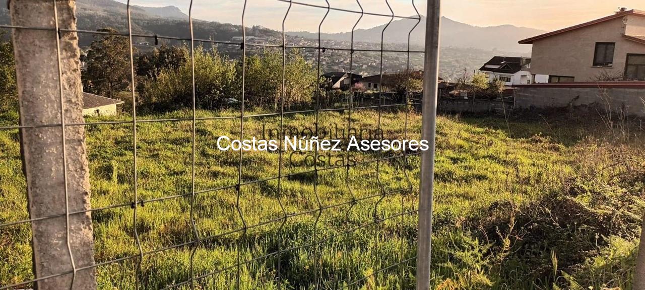 Foto 8 FINCA EN BEMBRIVE, CON LICENCIA PARA EDIFICAR VIVIENDA PAREADA. 