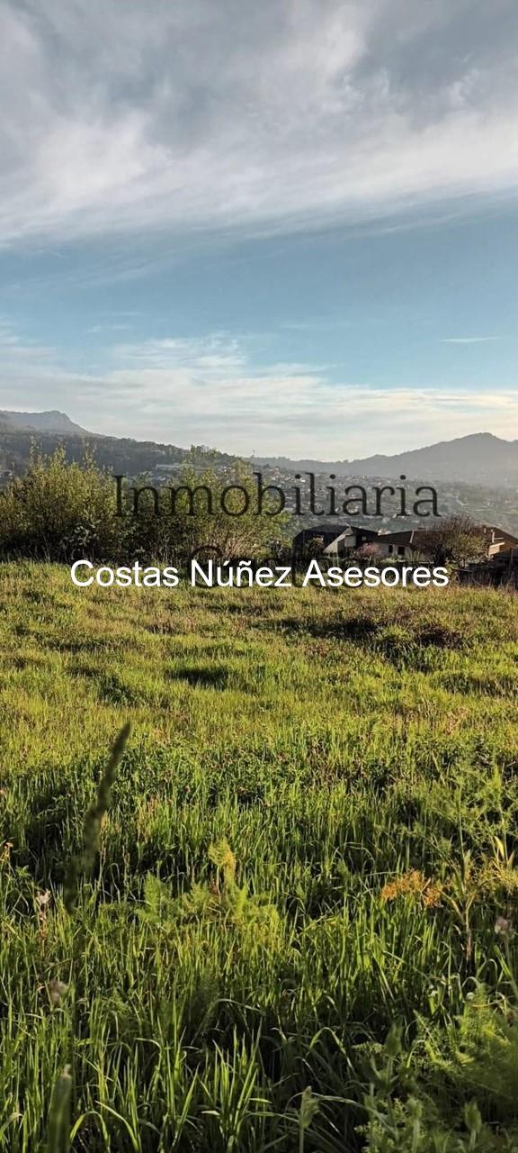 Foto 9 FINCA EN BEMBRIVE, CON LICENCIA PARA EDIFICAR VIVIENDA PAREADA. 